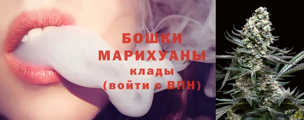 гидра Бутурлиновка