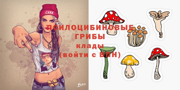 прущая мука Арсеньев