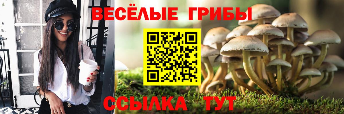 Псилоцибиновые грибы мухоморы Курганинск