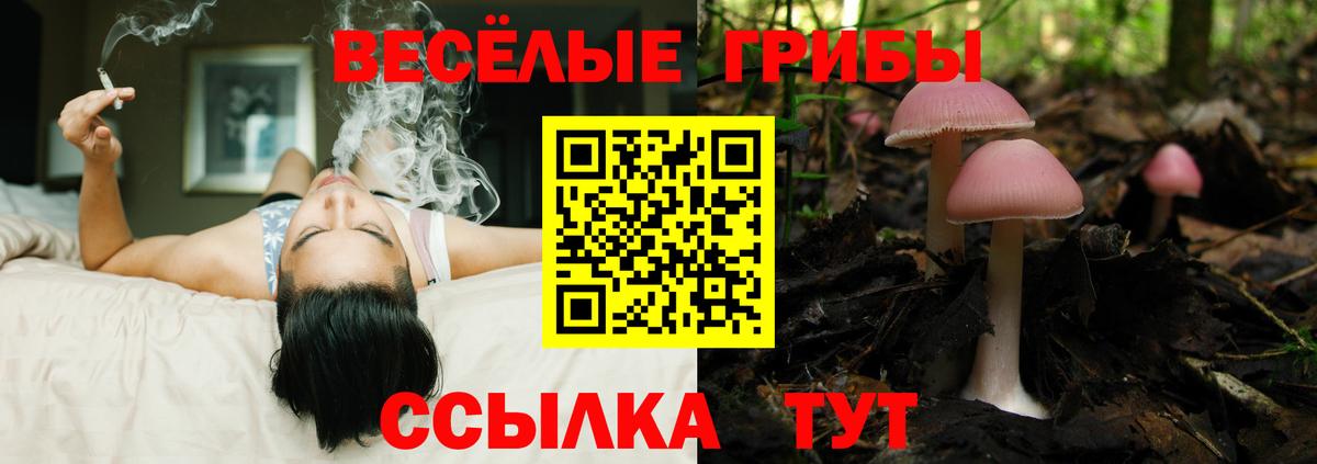 Псилоцибиновые грибы Psilocybe  дарнет шоп  Курганинск  Вход с VPN 